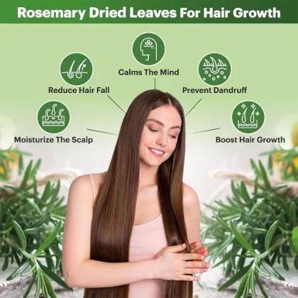 Rosemary Leaves + Oil + Spray Bottle + Neem Comb + Comb Applicator image 5